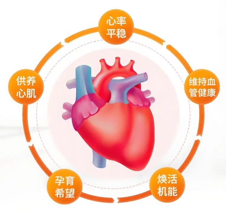 “心脏保护神”辅酶Q10，经常服用，五大好处等着你